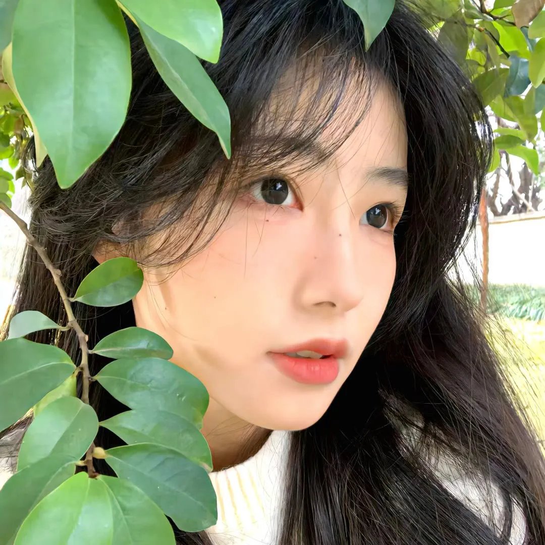 战地女护士 高清封面