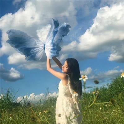 查科 高清封面