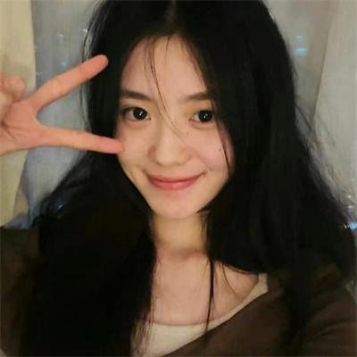土狼子弹 高清封面