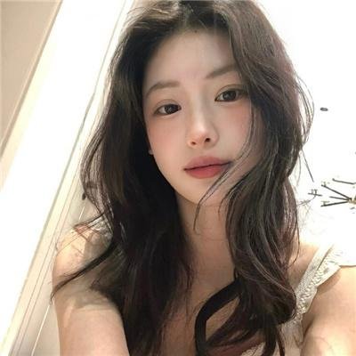 派特的幸福剧本 高清封面
